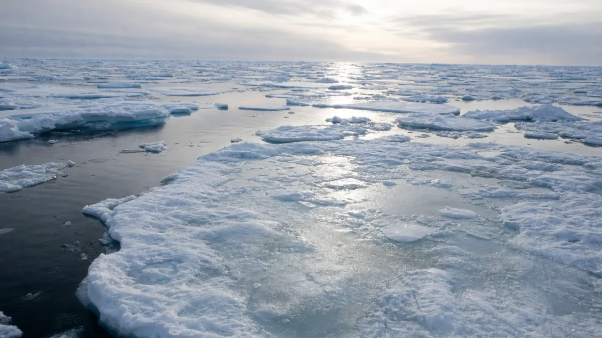 Glace flottante : définition, formation et rôle écologique